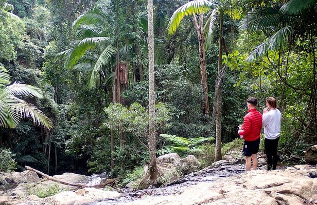 Maiala Rainforest Tour