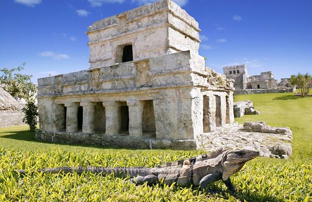 Magical adventure through Tulum. Cenotes, ruins and sculpture tour.