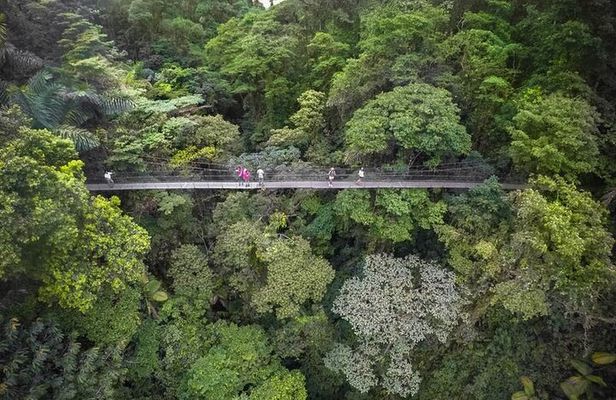 2-in-1 Arenal Hanging Bridges + La Fortuna Waterfall