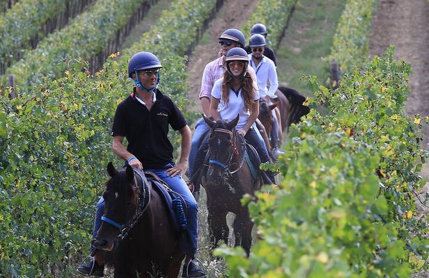 Horseback Riding with Wine Tour from Florence