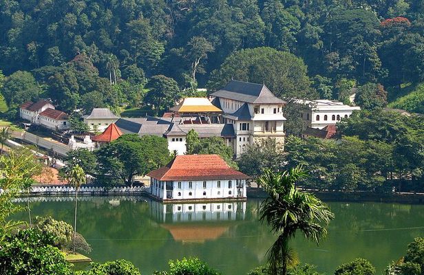 Kandy Day Trip with Tooth Relic Temple & Unique Attractions