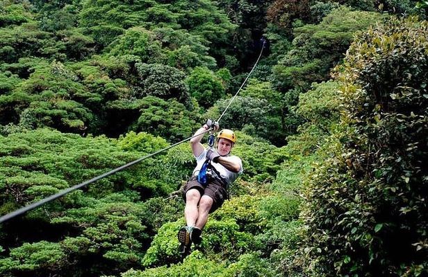 3-in-1 Monteverde Cloud Forest Hanging Bridges, Ziplining and Butterfly Garden