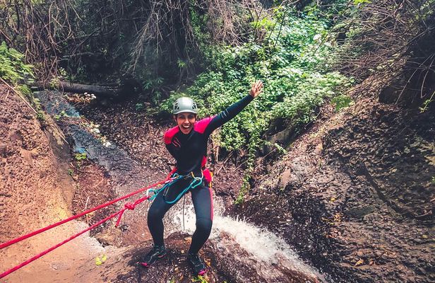 Canyoning with Waterfalls in the Rainforest - Small Groups ツ