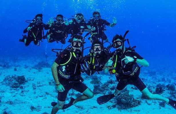 Fun dives Cozumel south marine park
