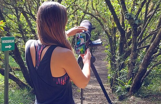 Monteverde Birdwatching Experience