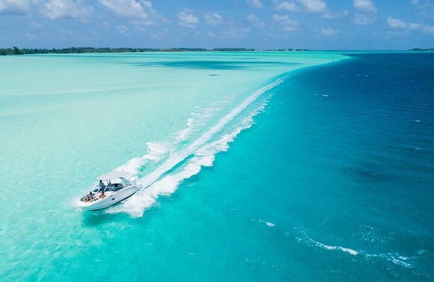 Reef Discovery Private Dream Day Tour