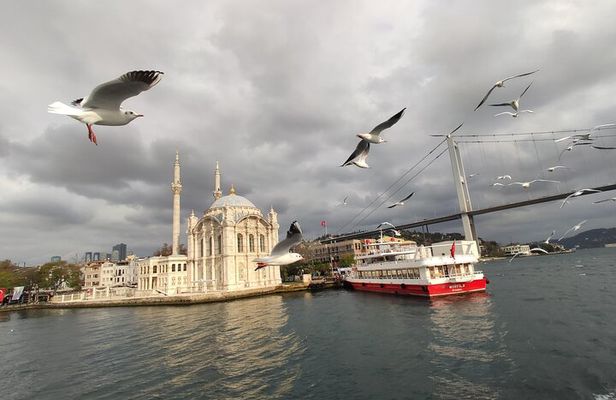 2-Hour Bosphorus Cruise in Istanbul with Guide