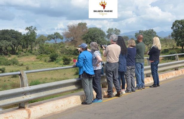 Exhilarating 7 Day Kruger Safari Adventure - South to North