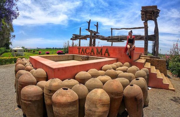 Ica: Pisco and Peruvian Wine Route