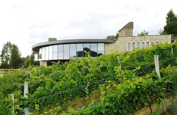 Bilbao Txakoli Wine Tasting & Local Flavors in Urdaibai Biosphere