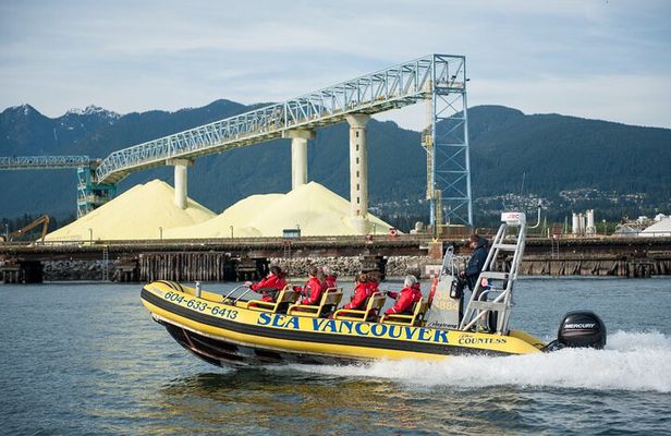 Vancouver Waterfront Sightseeing Zodiac Tour - City and Nature