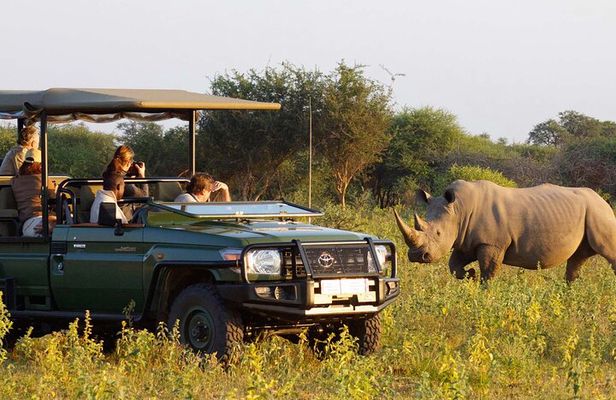 Hluhluwe Imfolozi Game Reserve 2 Day Safari from Durban