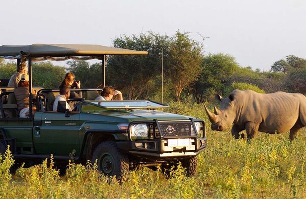 Hluhluwe Imfolozi Game Reserve 3 Day Safari from Durban