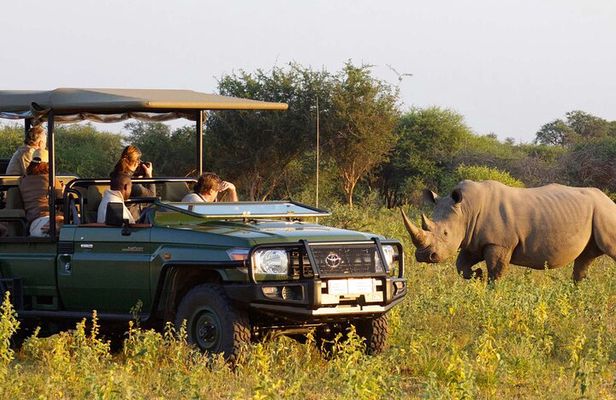 Full day - Hluhluwe Imfolozi Game Reserve 1 Day Tour From Durban