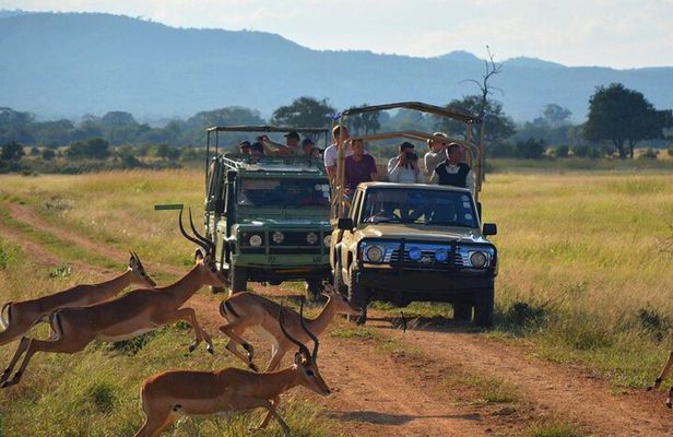 3 Days Isimangaliso Wetland & Hluhluwe Imfolozi Tour From Durban
