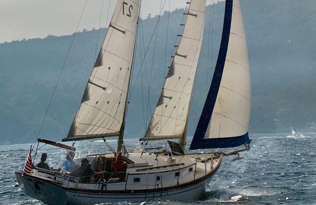 Baltimore Harbor Moonlight Sail on the Unforgettable