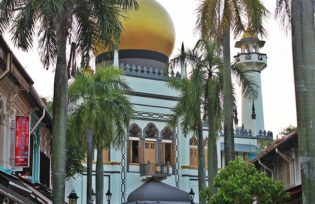 Private Cultural Discovery Tour of Historic Singapore