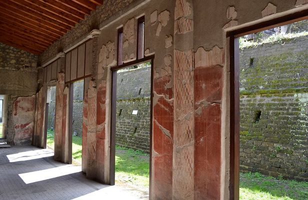 Tour in the villa of Poppea with an archaeologist
