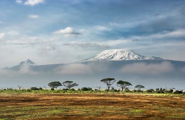 7-Day Kilimanjaro Small-Group Trekking via Machame Route