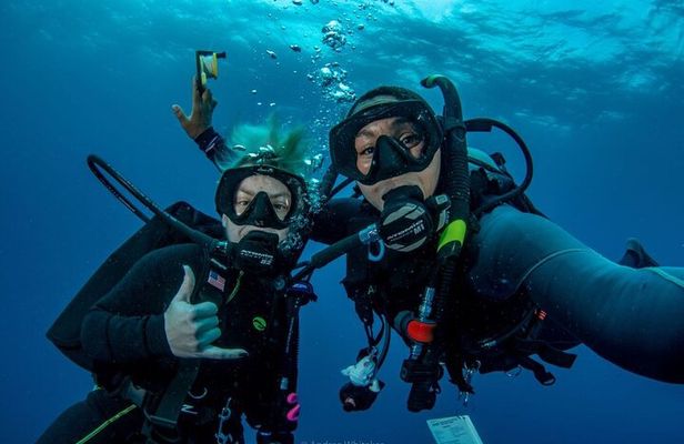 Private 2-Tank Dive with PADI Instructor for Certified Divers