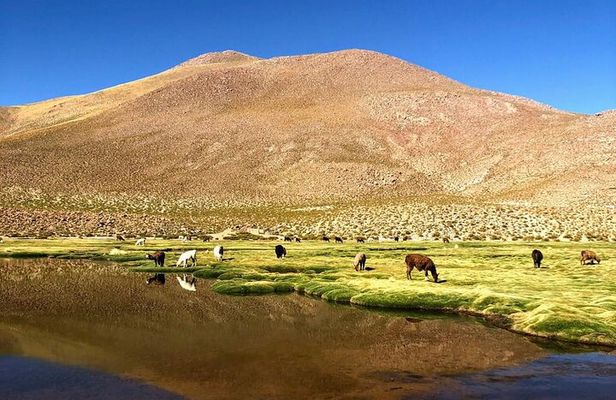 3-Day Exploring San Pedro de Atacama