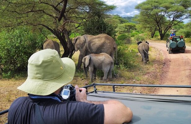 Serengeti & Ngorongoro fly in safari