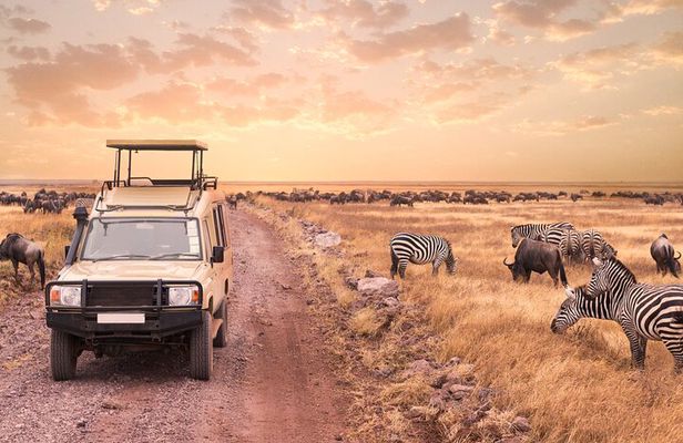 5 days safari, hiking & culture (Serengeti & kilimanjaro)