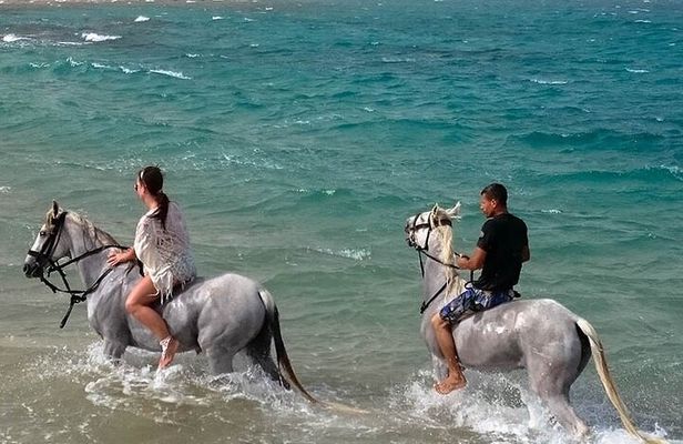 Hurghada: Sea & Desert Horseback Riding, Stargazing, Dinner, Show