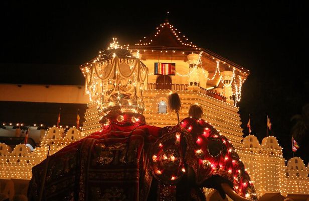 Kandy Full-Day Tour