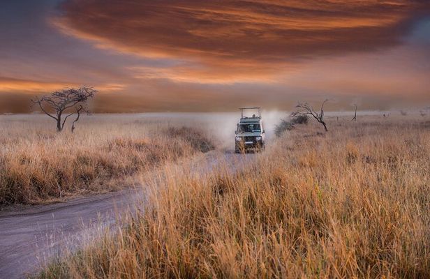 6 days Tanzania budget safari