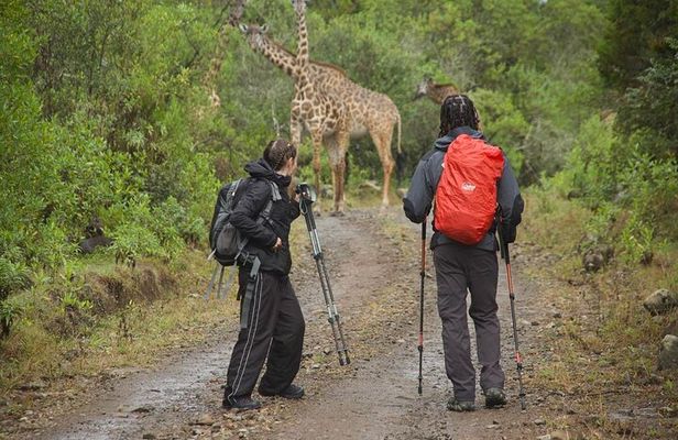 3 days hiking adventure on Mount Meru