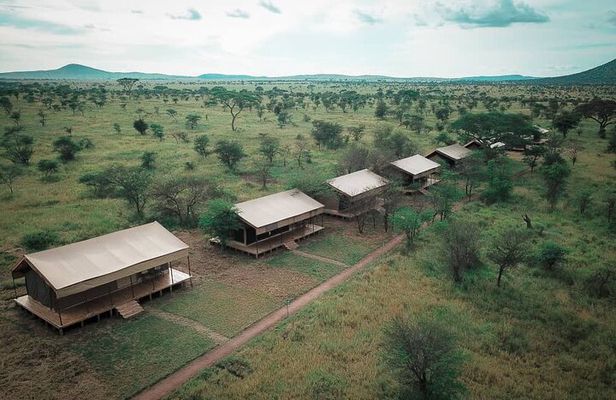 3 days fly in safari