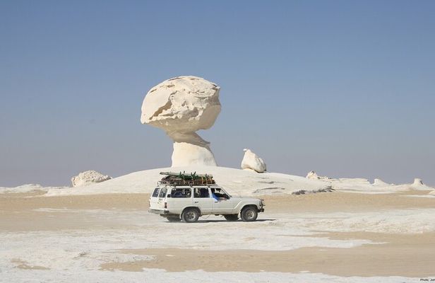 2 Days White Desert And Bahariya Oasis Tour
