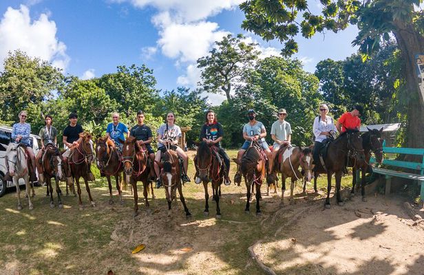 Horseback Riding + West End + Choco Factory + West Bay Day Pass @ Paradise Beach