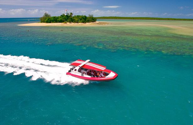 2 1/4 hr Low Isles Reef Sprinter Snorkelling Tour 