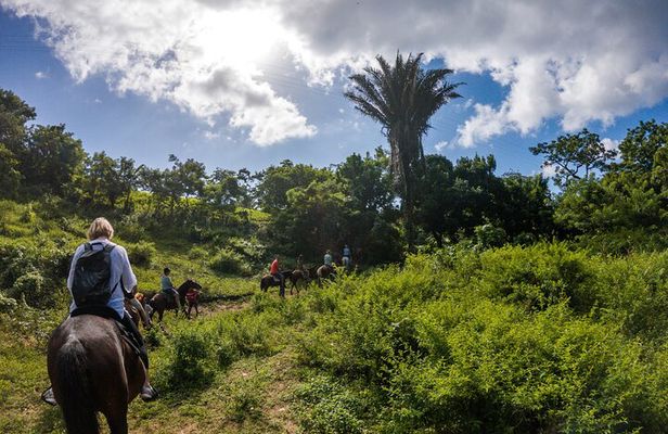 Horseback Riding Trail Tour, Roatan Letters and Ocean in Flowers Bay