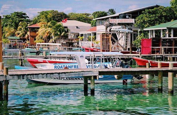 West End Tour (Choco Factory + Rum Company + Art Gallery + Rusty Fish and more)