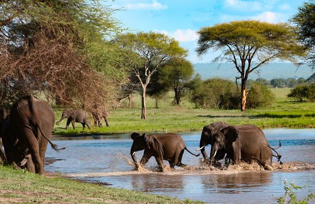 5-Day Group Tour Mid Range