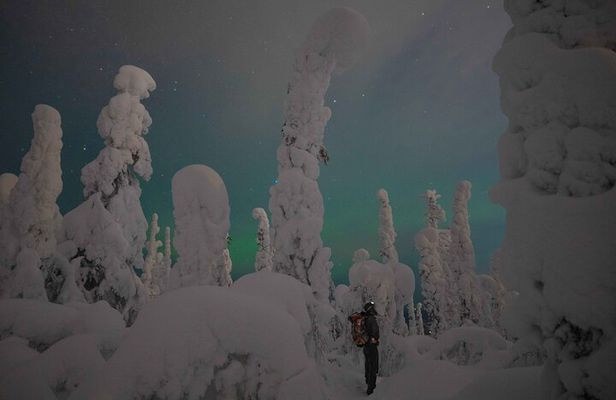 Aurora Borealis Snowshoeing Adventure by Night from Rovaniemi