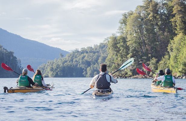 Guided Half Day Kayak Tour with Picnic in Villa la Angostura