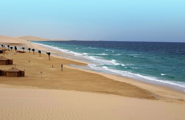 Doha: Desert Safari With Quad bike ,Camel Ride And Sand Boarding