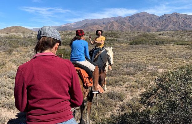 Horseback expedition to The Andes, 2 days. Sleep in the heart of the mountain.