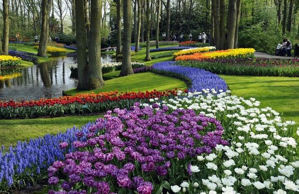 Keukenhof Gardens Tour with Windmill Cruise from Amsterdam