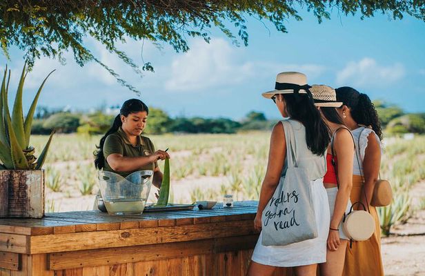 Full-Day Aruba History and Must-See Landmarks Tour