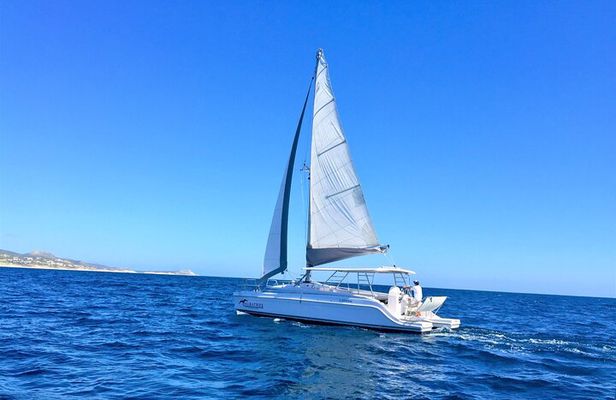 Snorkel Adventure through the Sea of Cortez