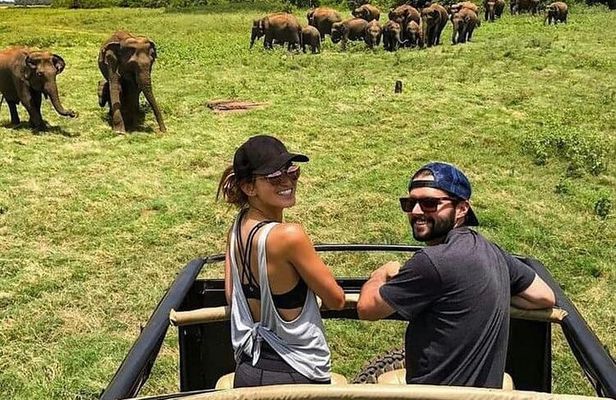 La Ceylon Popular Round Tour in Sri Lanka (8 Day)
