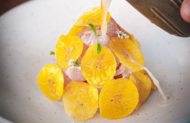 The Ceviche Route