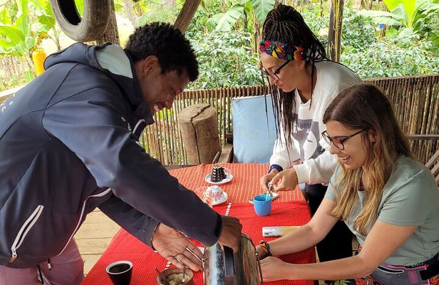 Organic Coffee Tour and Local Food Experience in Arusha