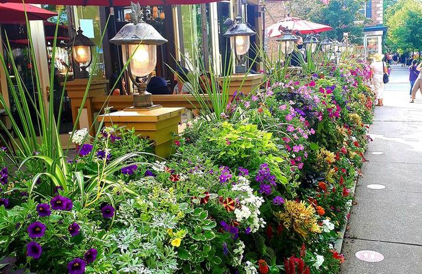 Niagara on the Lake Walking Food, Wine/Beer Tasting Tour