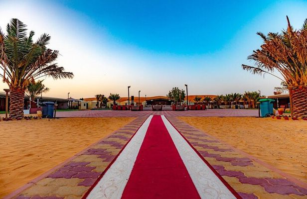 Dubai evening desert safari and camp with dinner